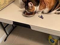 Review Image by CheshireCat