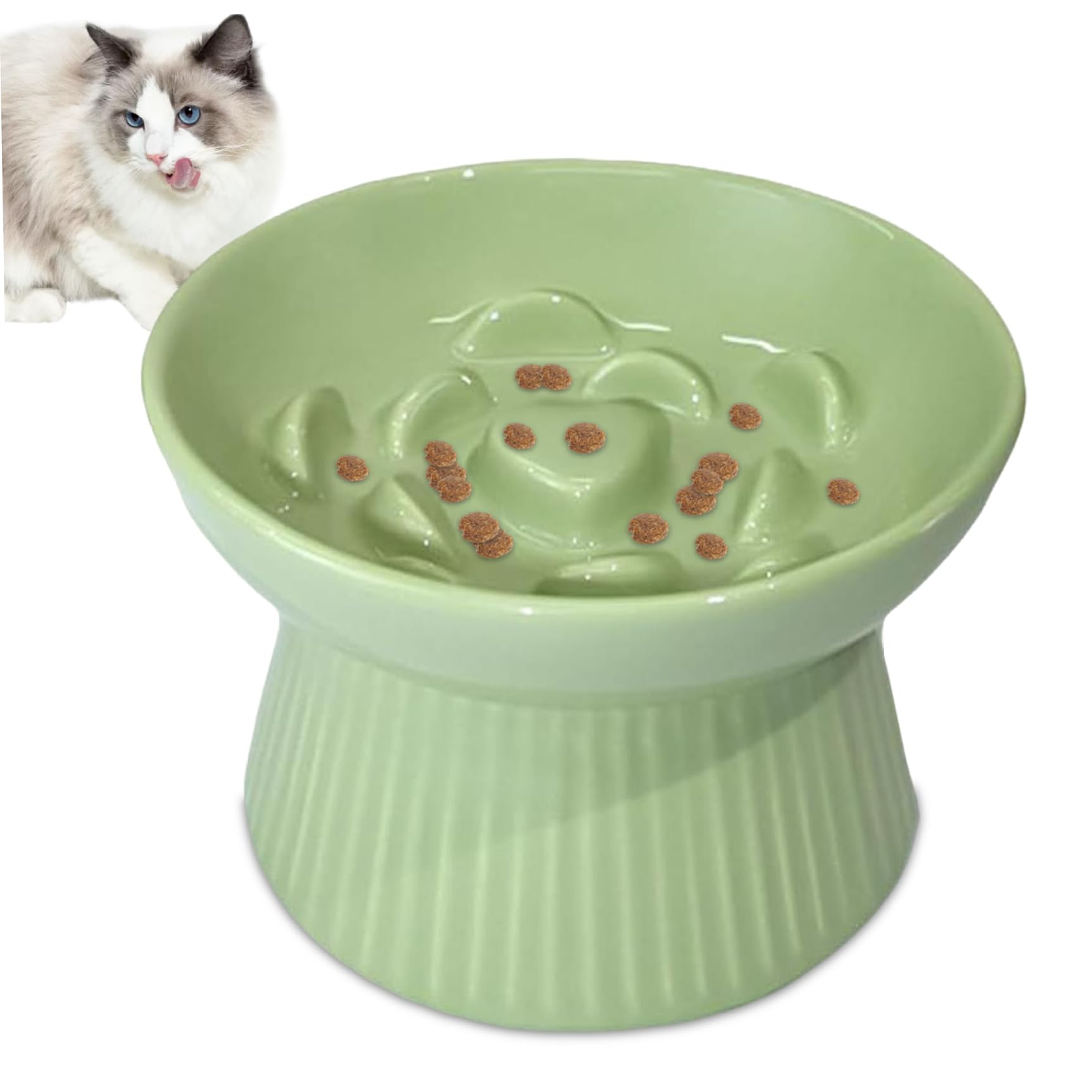Gamelle pour chat anti-vomissements avec base stable contre la digestion rapide
