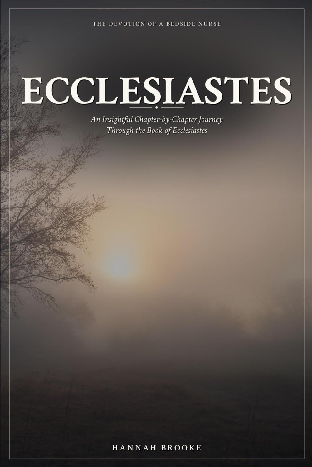 Ecclesiastes: A Chapter‑by‑Chapter Devotional and Bible Study Through the Book of Ecclesiastes for Women — Finding Meaning, Purpose, and Peace in a Short Life (The Devotion of a Bedside Nurse)