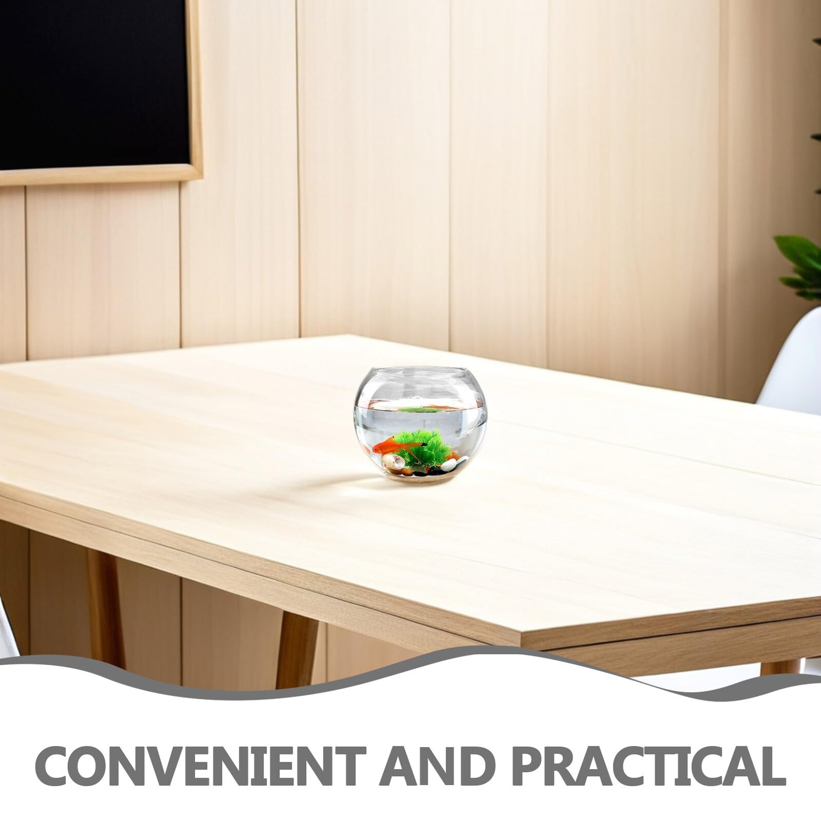 CALLARON Rundes Glas Terrarium 2 Stück für Pflanzen mit Transparentem Design und Reinigender Raumfunktion Kreatives Wohnaccessoire für Zuhause und Wohnzimmer