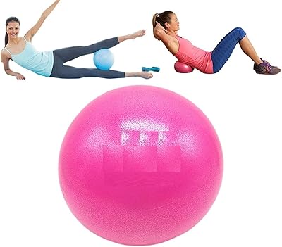 Mini Home Swiss Yoga Fitness Physiotherapy Physio Massage Exercise Gym Ball