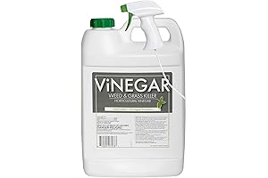 Vinegar Weed Killer Spray: Safe, Organic Weed Control for a Healthy Lawn