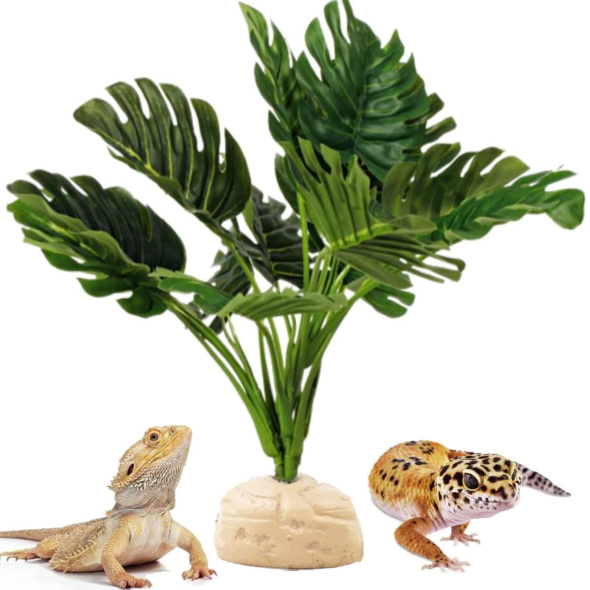 Reptile Plants for Terrarium Decor,Leopard Gecko Tank Plants