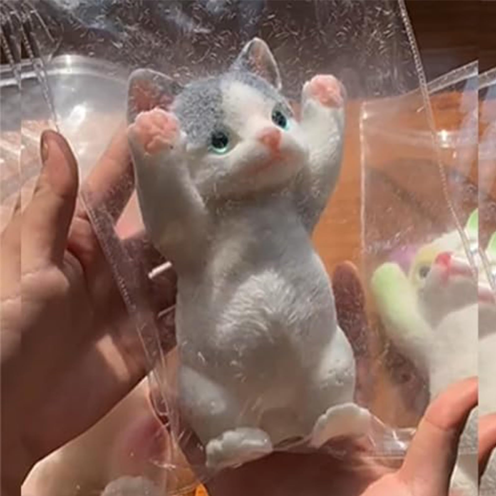 Squishy Katze Toy, Lepki Gryzak Squishy, Uroczy Antystresowy Gryzak Cat, Zabawka Fidget w Prezencie Dla Dzieci i Dorosłych Krótkowłosa (C)