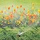 Relaxdays Sprühregner Garten, 5er Set, Klickstecker Anschluss, mit Erdspieß, Flächen bis 30 m², Sprinkler, schwarz/grau