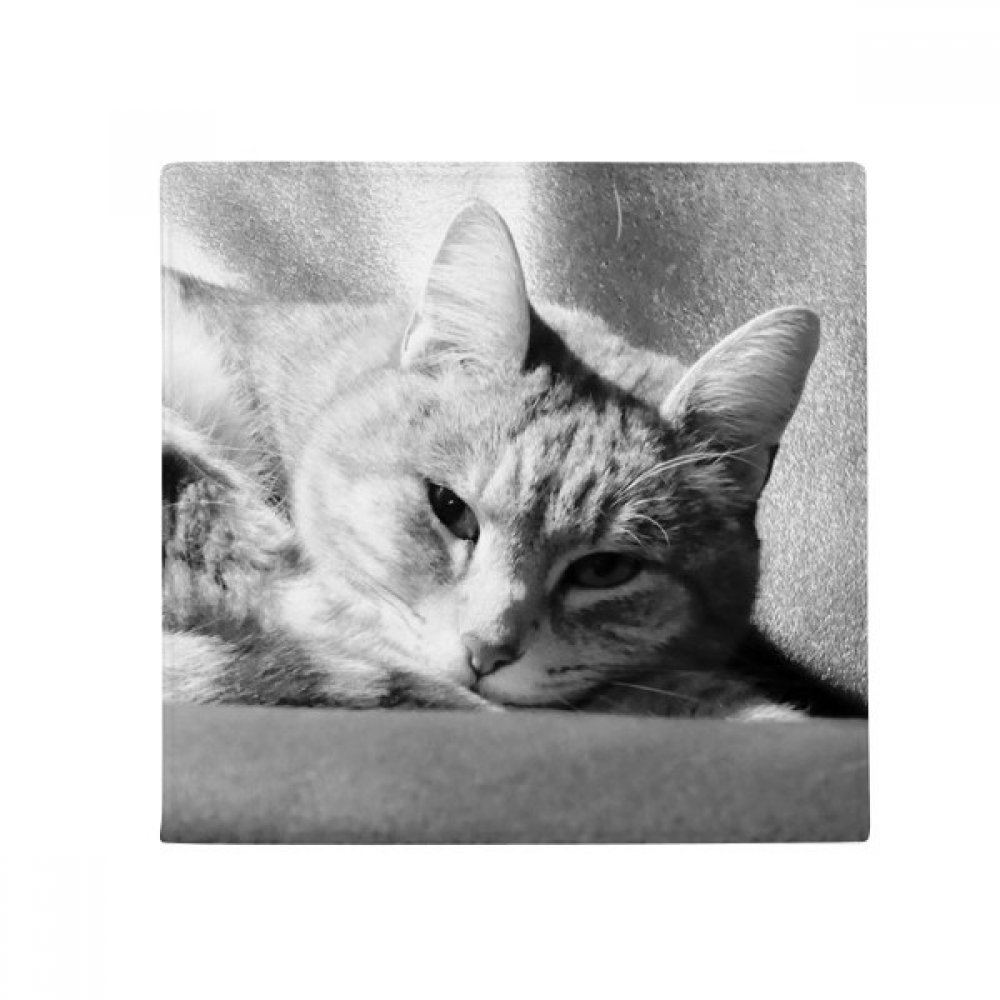 Tapis chat gris multicolore 60x60cm une idée cadeau originale pour le salon