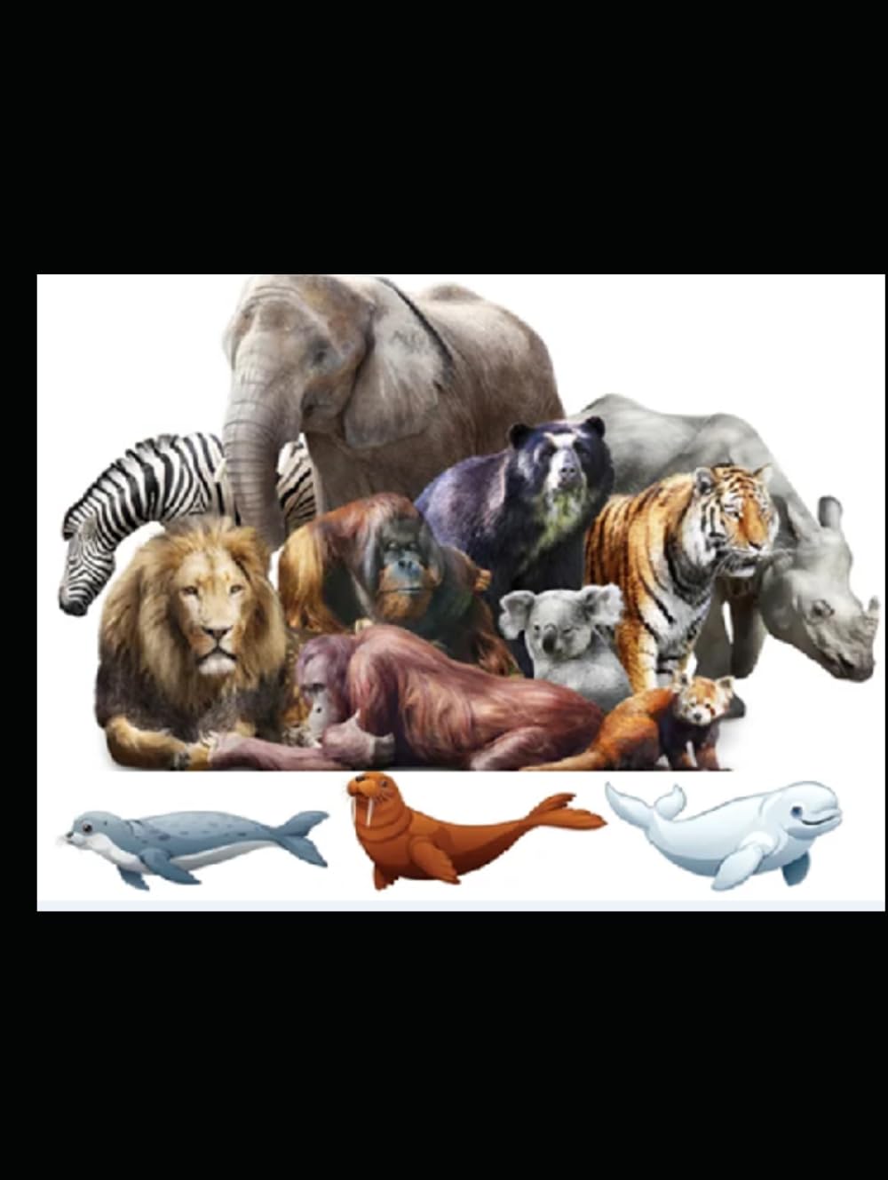 Zoo-Medicine (Medicine of Zoo Mammals)