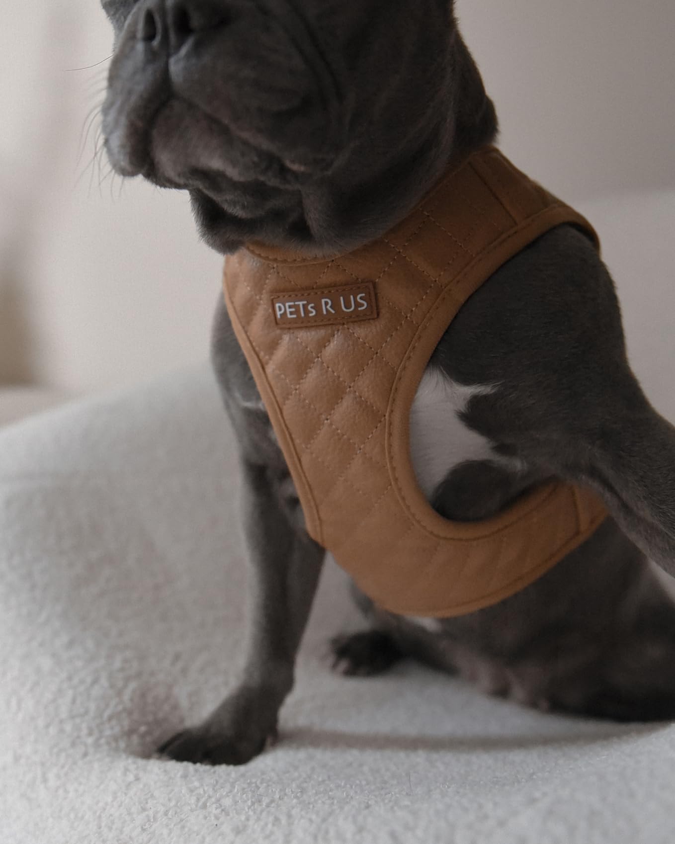 Step in Hundegeschirr, leicht, atmungsaktiv, Netzgewebe, weich gepolstert, veganes Leder, erstickungsfrei, ausbruchsicheres Geschirr für kleine, mittelgroße Hunde, Hellbraun, Größe M