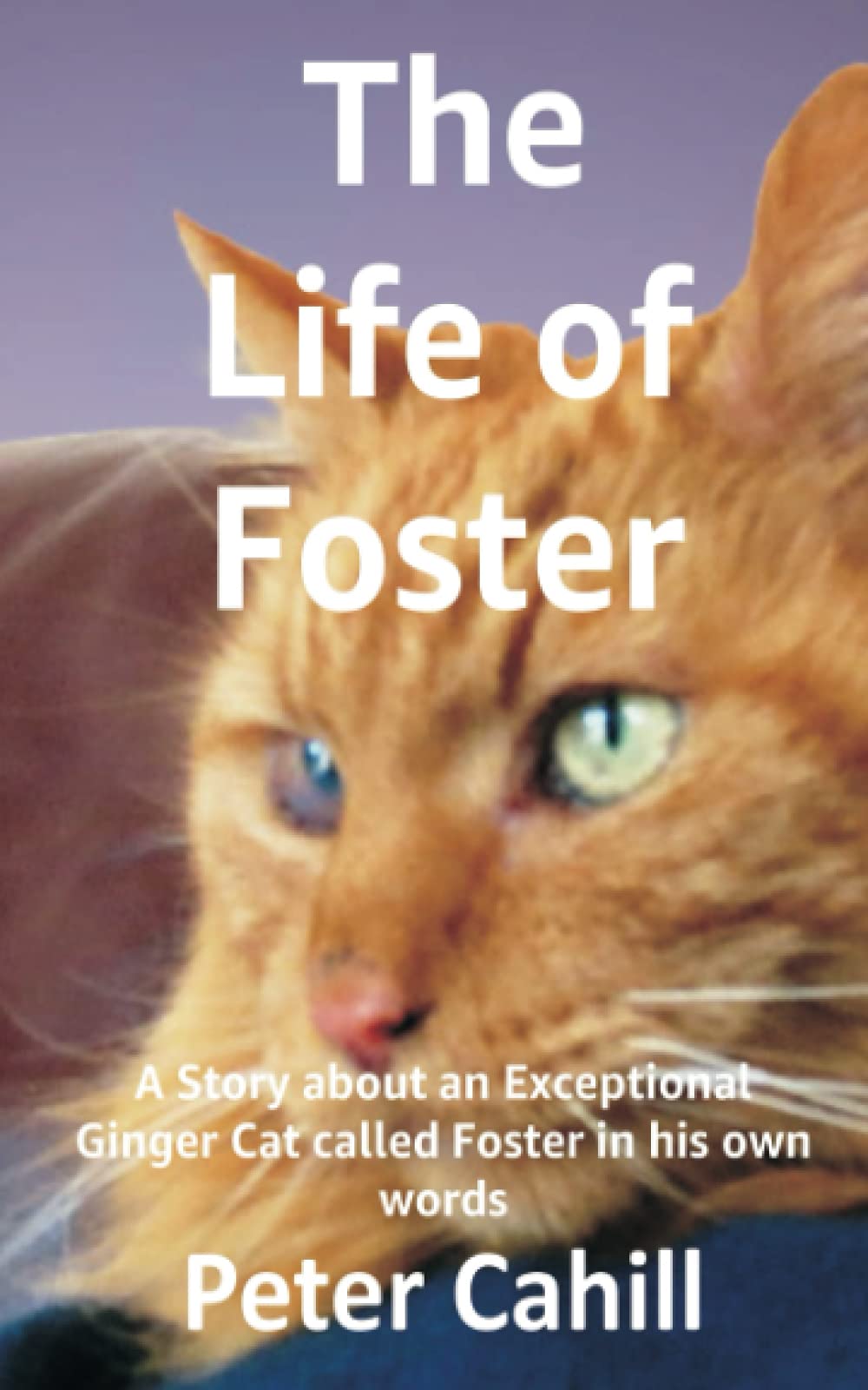The Life of Foster: A Story about an Exceptional Ginger Cat called Foster in his own words