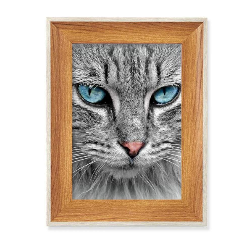 Cadre de photo bois de bureau pour raviver un espace de travail tableau chat