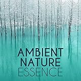 ambientadores naturales para armarios  Ambient Nature Essence