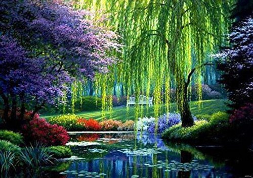 Kit di pittura a mosaico con diamante 5D, kit di pittura a spruzzo per ricamo, decorazione murale per la casa (legno 8101)