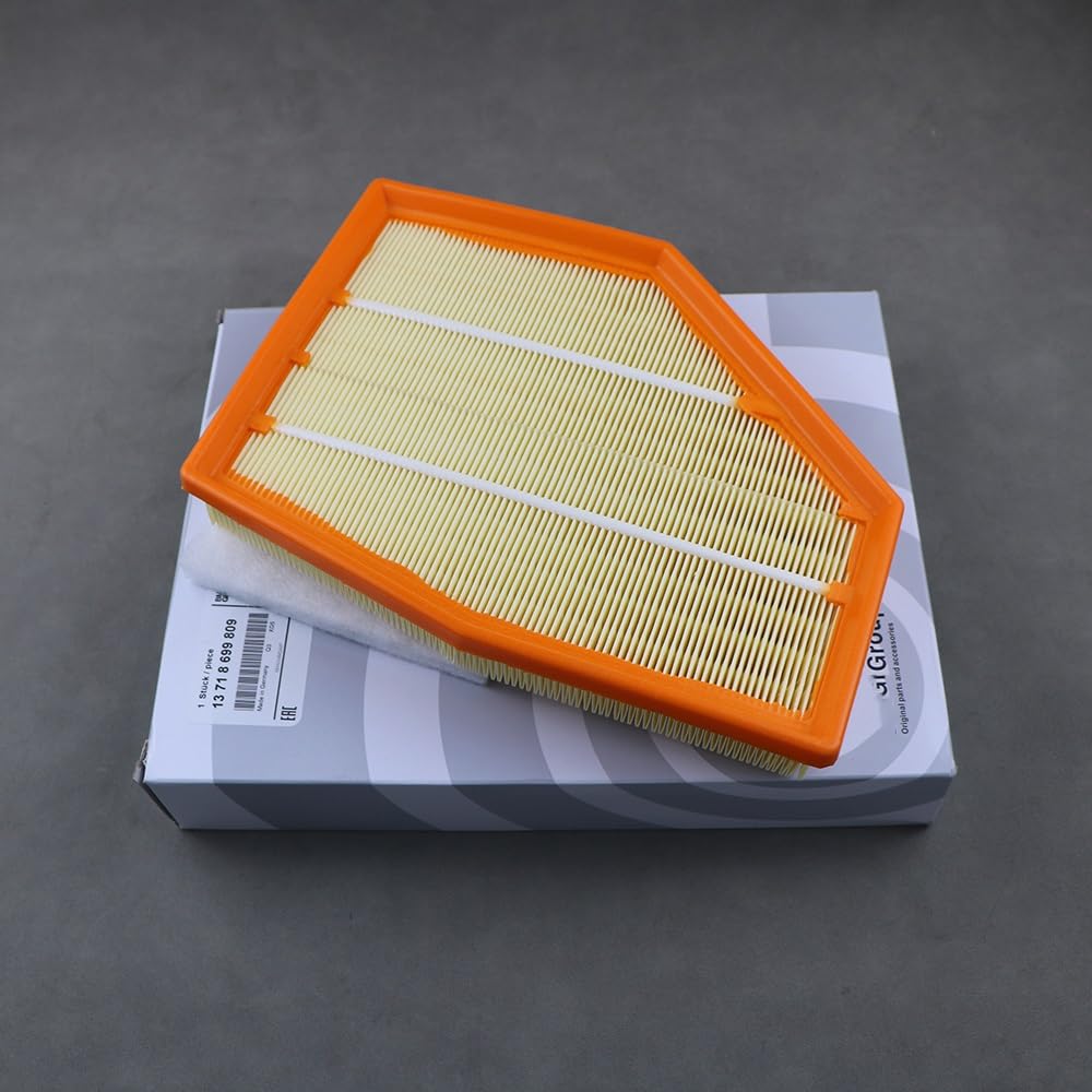 Left Side 13718699810 Right Side 13718699809 Air Filter For BMW  