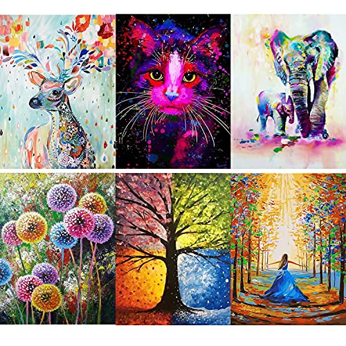 CSYY Diamond Painting, 6 Pack Cover