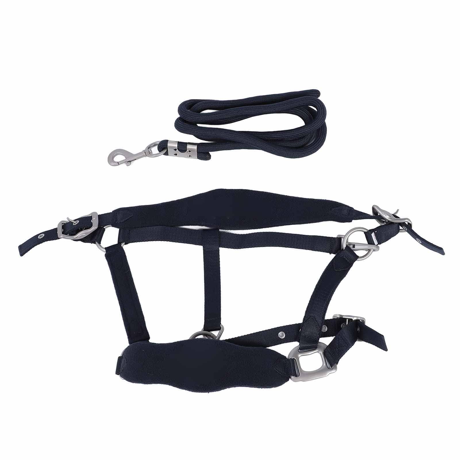Asixxsix Cabestro de Caballo Ajustable, Banda para la Nariz Acolchada, Cojín para la Cabeza, Cabestro de Entrenamiento de Poliéster con Correa de 2 M, para