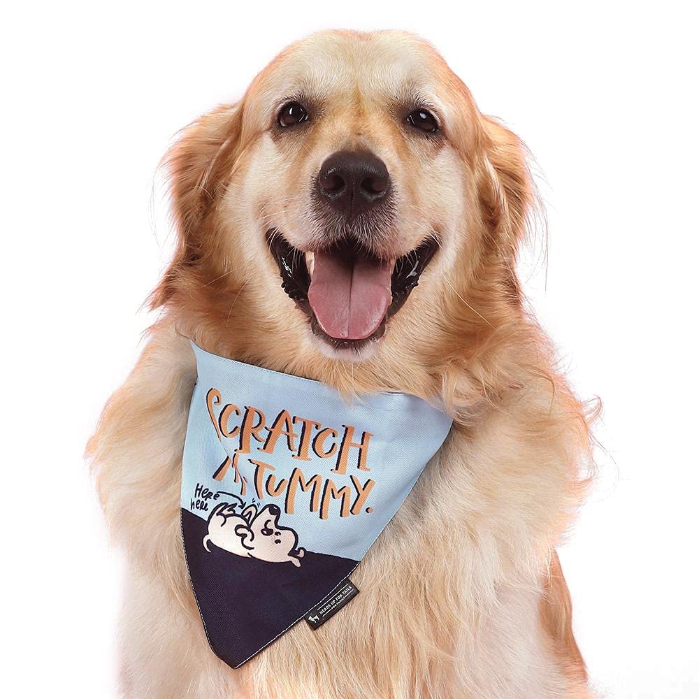Heads Up For Tails x Alicia Souza Scratch My Tummy Dog Bandana - S (B09FZKZLGF) Amazon Price History, Amazon Price Tracker