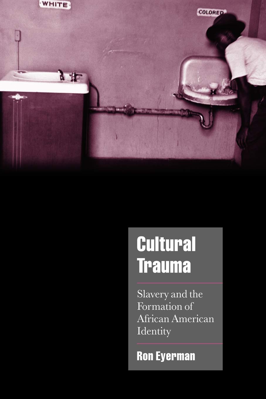 Cultural Trauma: Slavery and the Formation of African American Identity (Cambridge Cultural Social Studies)