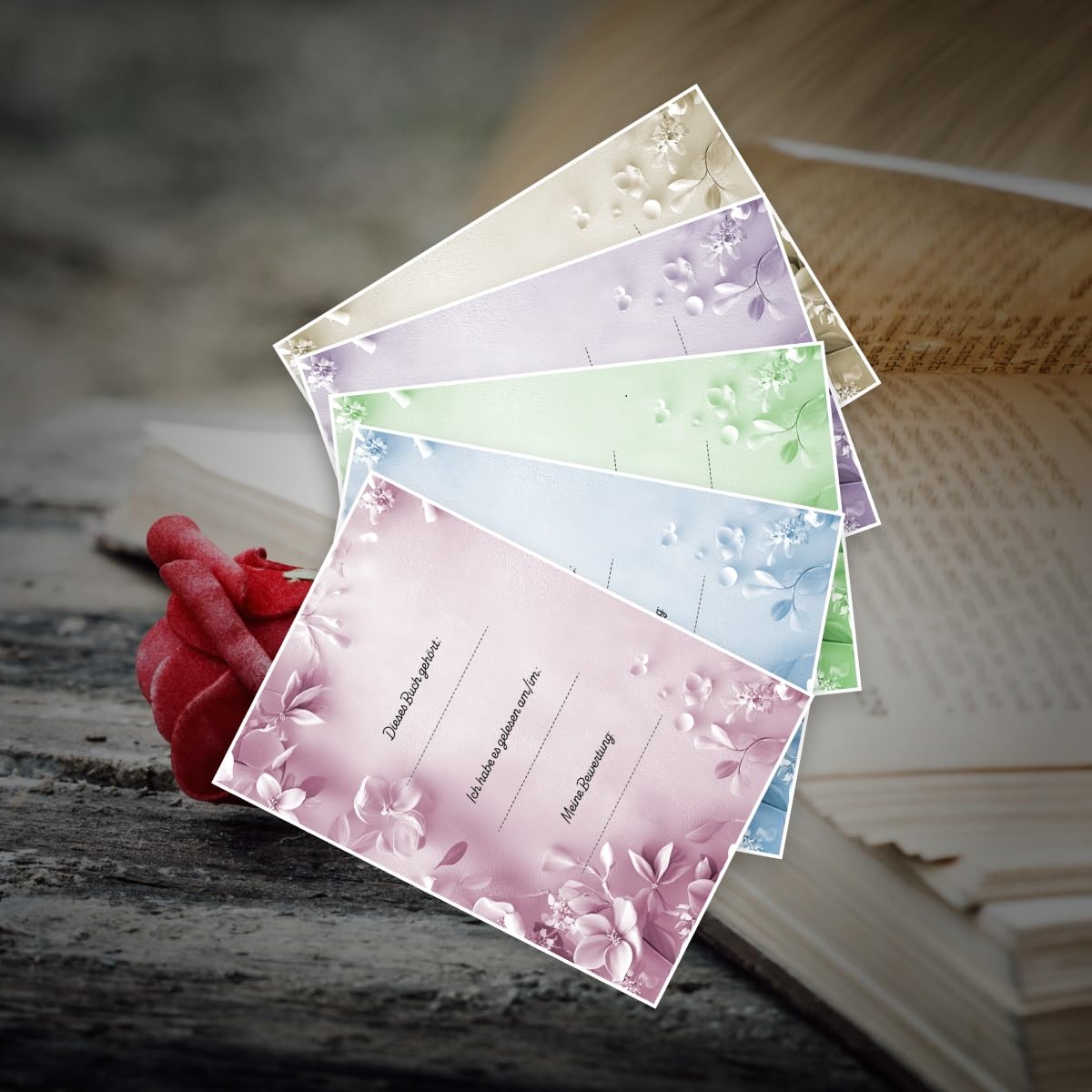 Die Windy City-Reihe Band 1-5 + Spin-Off plus 1 exklusives Postkartenset