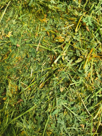 Cremas Y Lociones, Video On Demand Imagen adicional