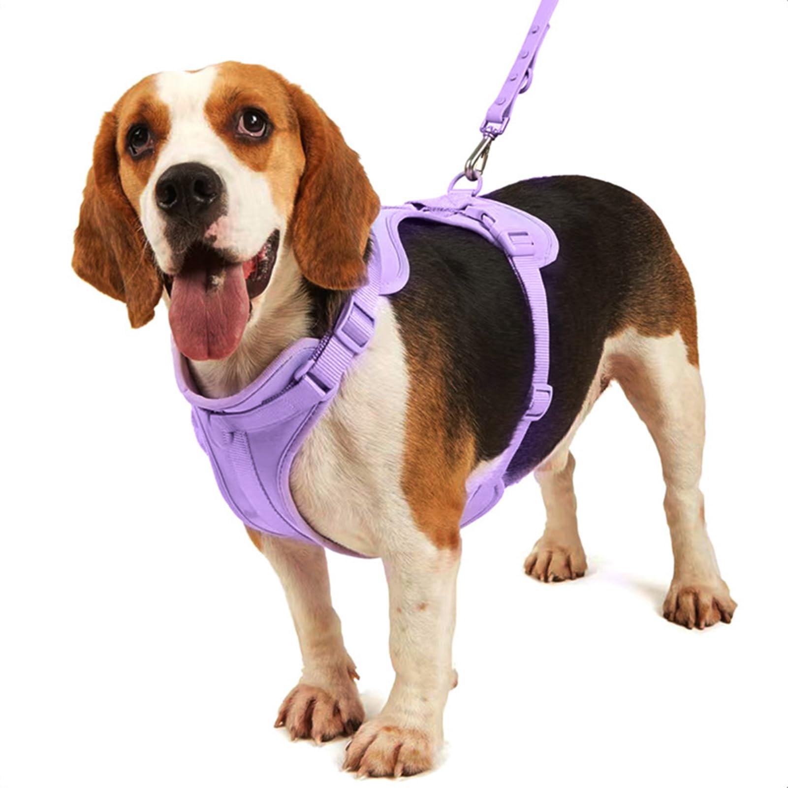 Set di guinzaglio per cani, pettorina per animali domestici, collare e | guinzaglio, pettorina per cani con guinzaglio, collare di sicurezza, regolabile con supporto per sacchetti degli escrementi