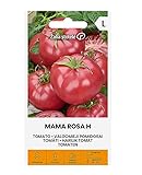 Zalia stotele | TOMATE - MAMA ROSA H Semillas | Semillas de Hortalizas | Semillas Tomate | semillas de plantas | semillas de jardín | 1 paquete