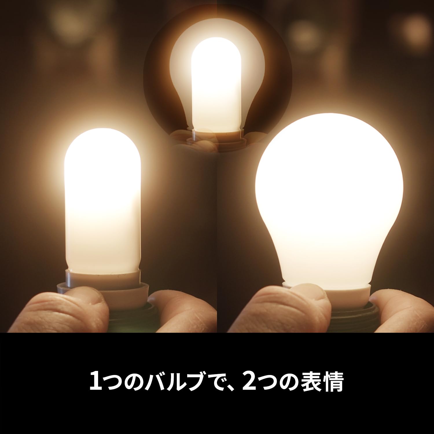 Amazon | ASTERA Luna Bulb 8灯セット 専用ケース付き (FP7-PRPCSE-KIT