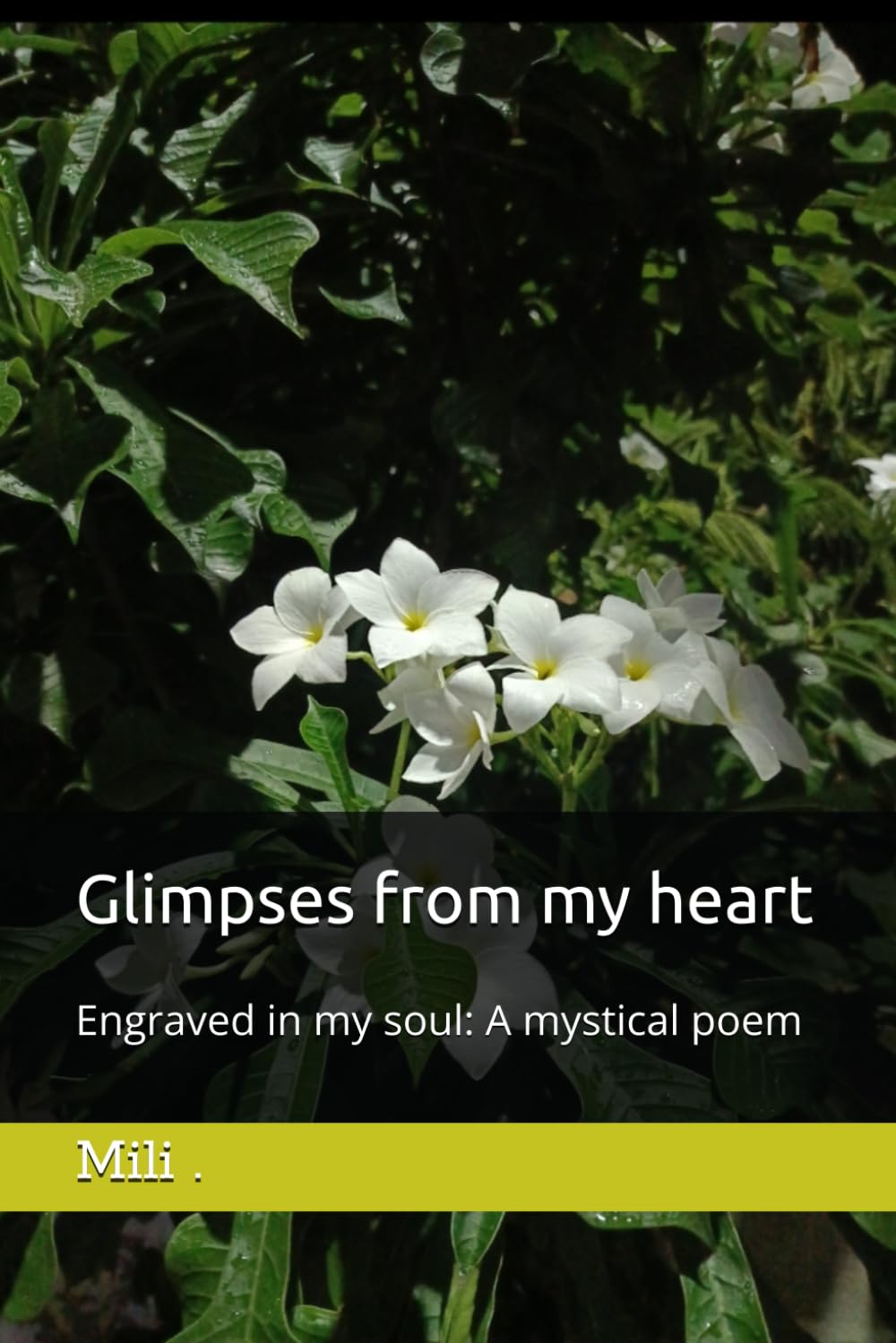 Glimpses from my heart: Engraved in my soul: A mystical poem