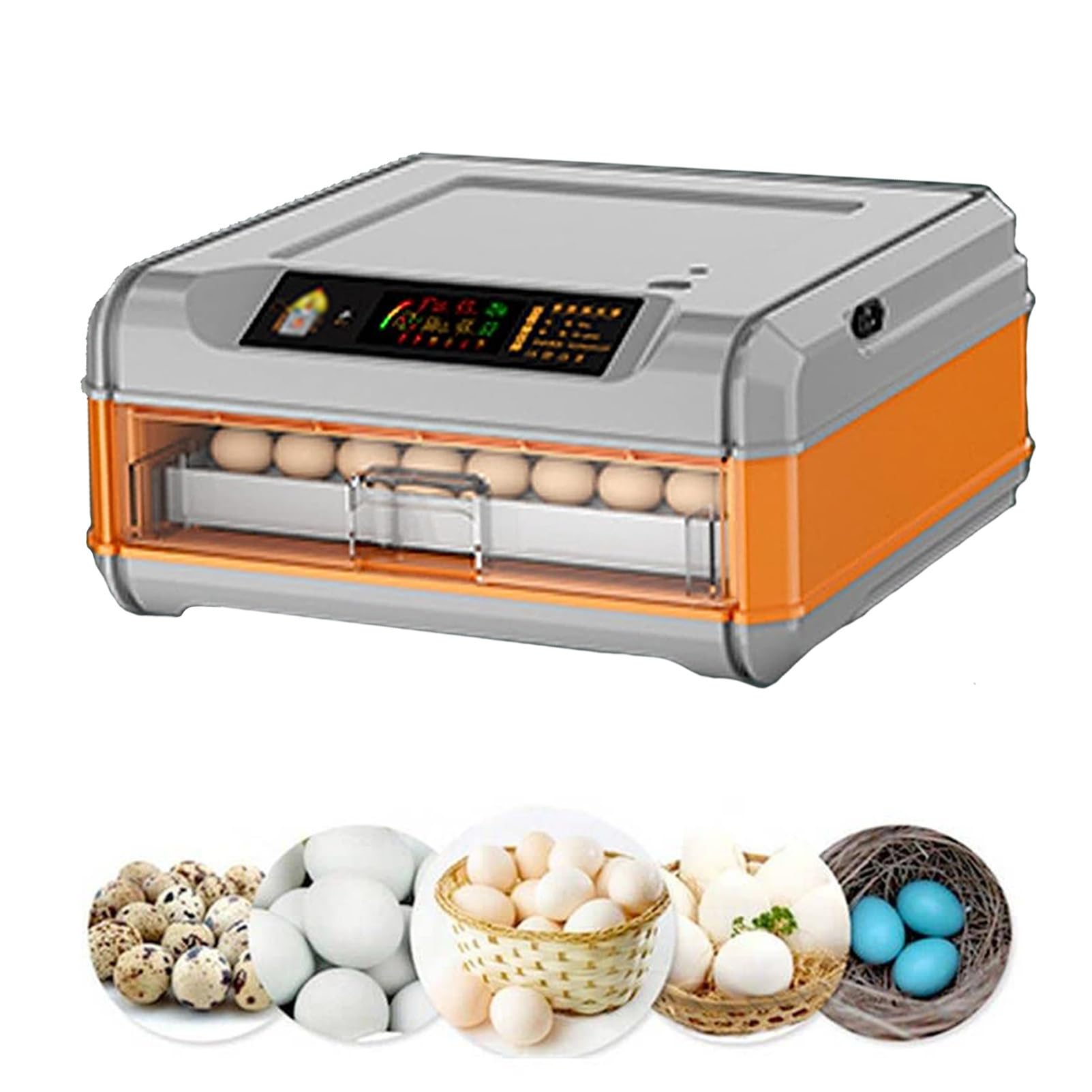 64-256 huevos Incubator Frazamiento automático de rotación Incubación, incubadora con control de humedad, incubadora de laboratorio con exhibición digital e iluminación LED, por codorniz ,64Eggs