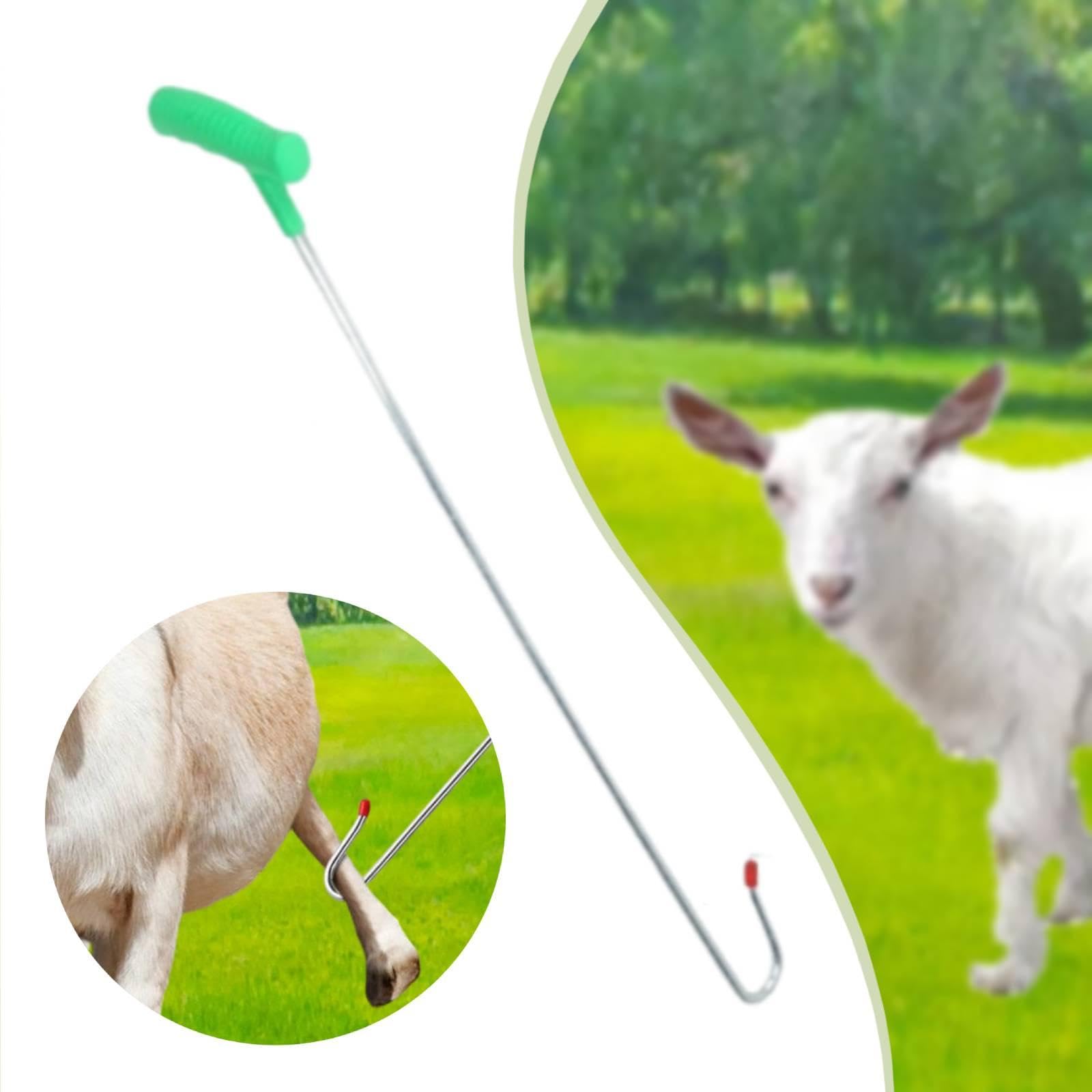 Gancho para Ovejas Herramienta de Sujeción Equipo Capturador Gancho Resistente Ergonómico Hecho de Hierro Compatible con Granjas Hogares Veterinarios, 70cm