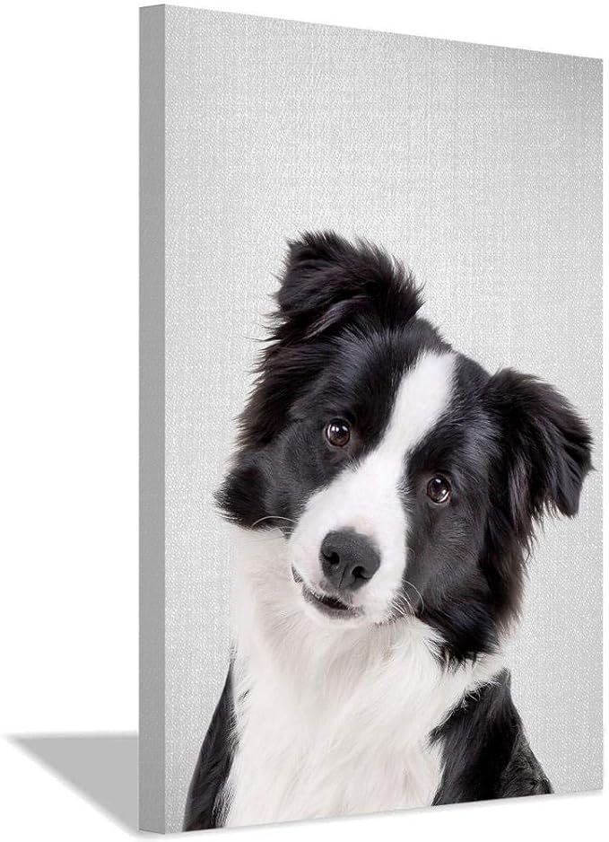 ボーダーコリーキャンバスアートポスターとアートプリント絵画モダンファミリー装飾ギフト 配送料無料 ボーダーコリーキャンバスアートポスターとアートプリント絵画モダンファミリー装飾ギフト 配送料無料