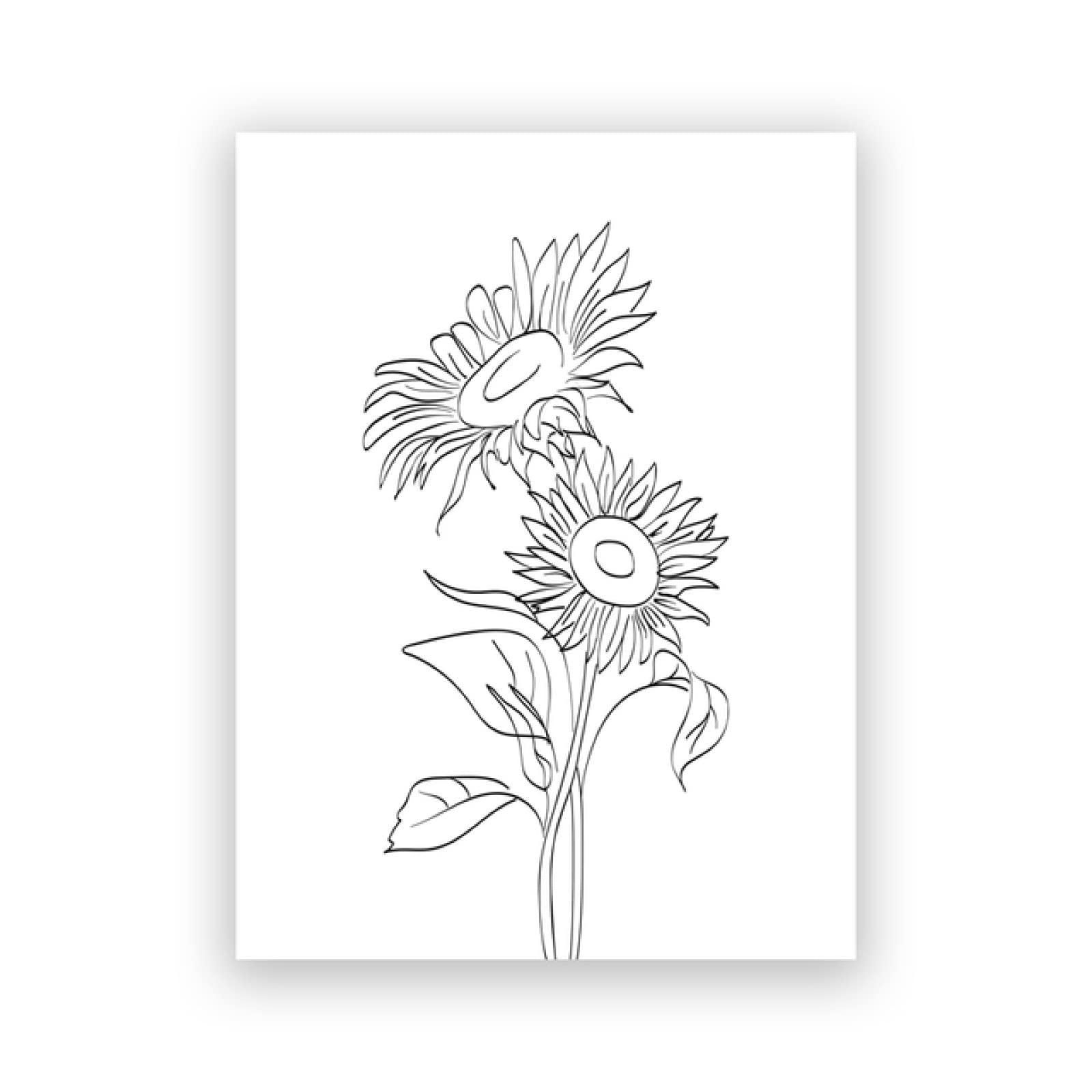 Girasole Minimalista One Line Art Stampe Nero Bianco Astratto Pianta Disegno Tela Pittura Wall Art Pictures Living Room Decor Senza Cornice-50x70cm : Amazon.it: Casa e cucina