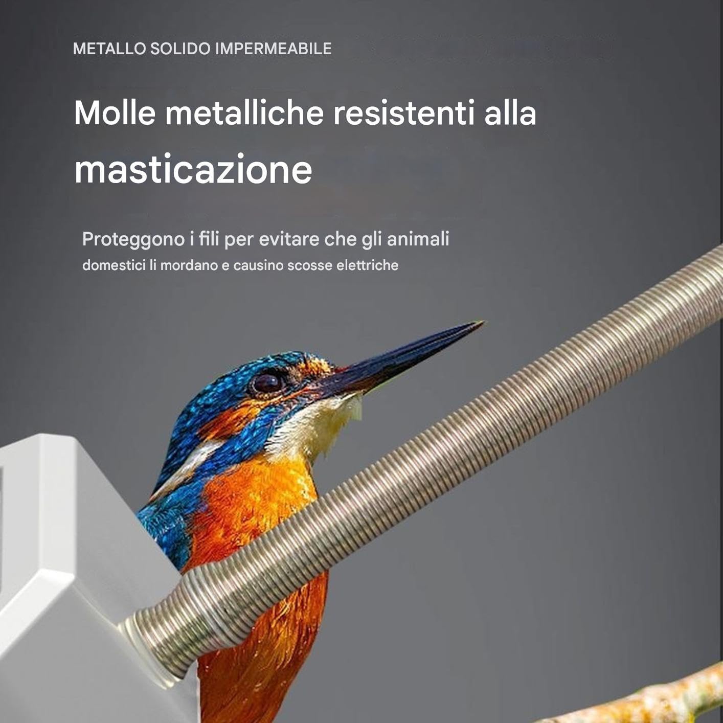 Riscaldatore Uccelli - Termostato Riscaldatore per Piccoli Animali,Rettili per Inverno Riposo Nidificazione Guinea Pig