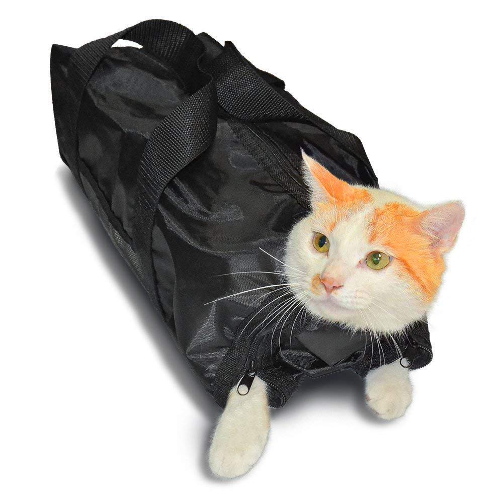 dog nail trimming harness