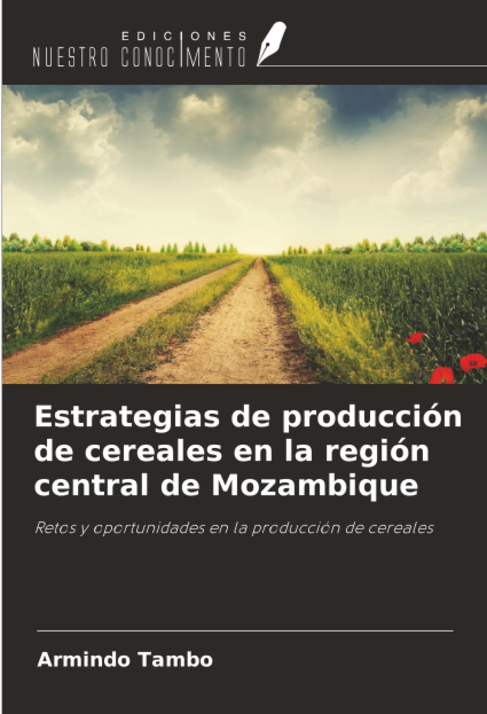 Estrategias de producción de cereales en la región central de Mozambique: Retos y oportunidades en la producción de cereales