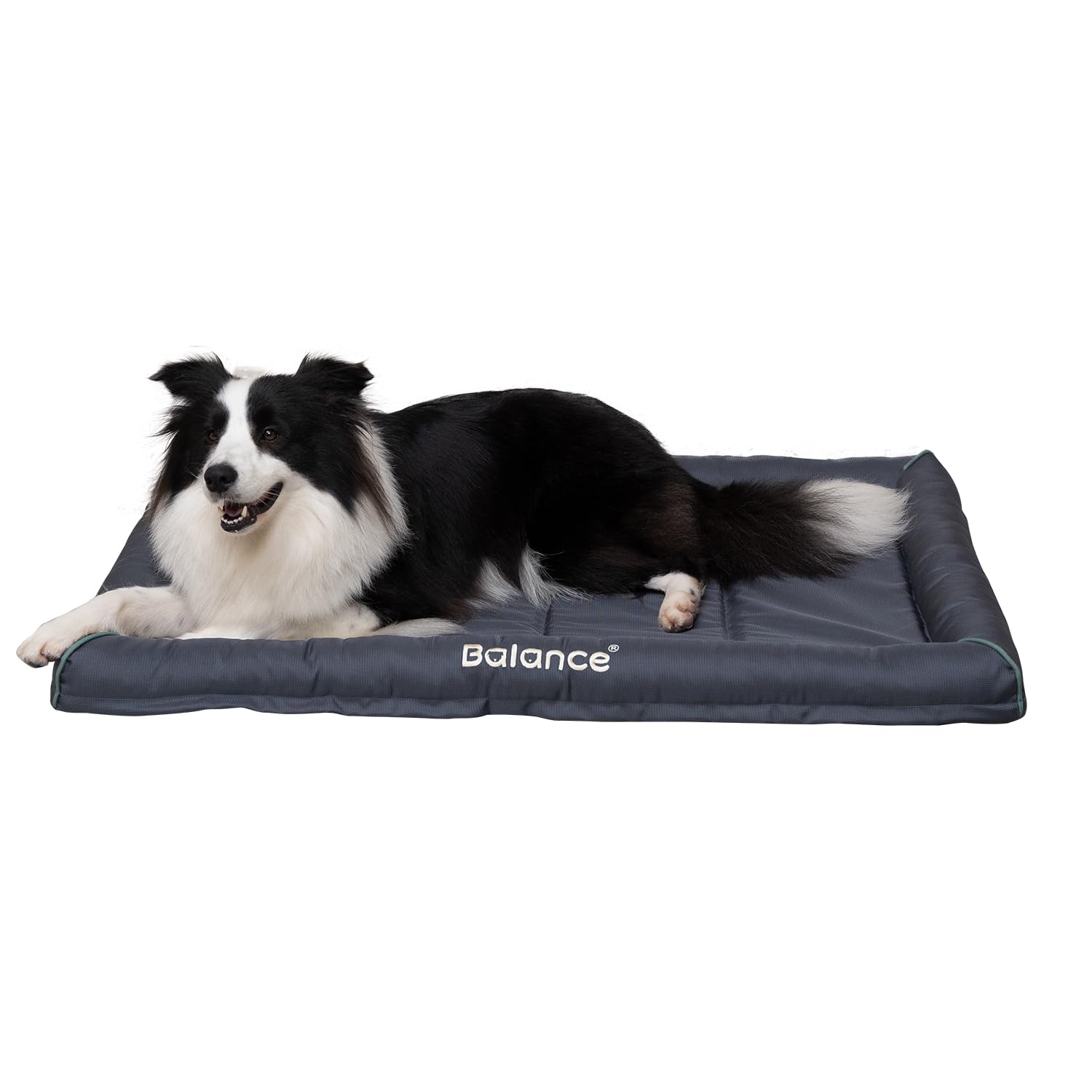 Picture of Snapklik.com : Oxford Dog Bed For Large Dogs, Waterproof Dogs Crates ...
