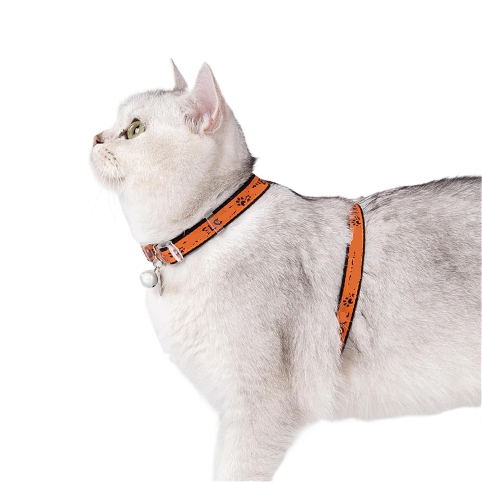 Truelove Pet TLH3912 Ensemble harnais et laisse en forme de H – Style gilet anti-évasion pour chats chiots maison et extérieur (bleu)