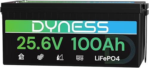 Batería LiFePO4 de 24 V 100 Ah, batería de litio de 25.6 V con potencia de 2560 Wh, BMS integrado de 100 A con protección a baja temperatura,