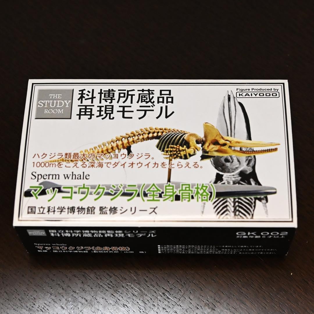Amazon.co.jp: 海洋堂 マッコウクジラ 全身骨格 国立科学博物館