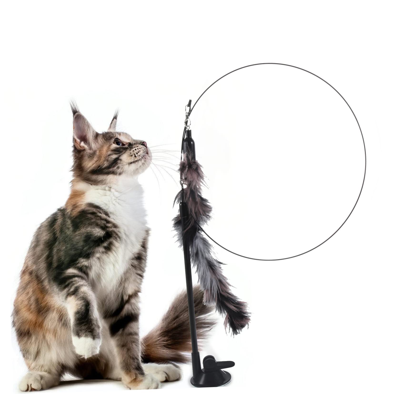 Yardwe 5 Piezas Juguete para Gatos Palo De Gato Interactivo Juguetes para Gatos De Interior Juguete para Mascotas Juguetes Interactivos para Gatos Ejercitador Páginas Gatito