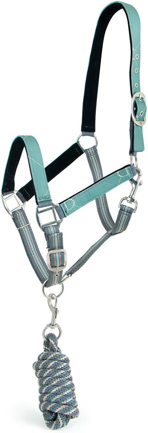 Jeffers Poplar Head Horse Halter and Lead Rope Set, Full Size – Fleece Lined Padded Nylon Adjustable Halter for Horses – Equestrian Training Tack Gear for Riding, Trail, Ranch, or Stable Use