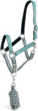 Jeffers Poplar Head Horse Halter and Lead Rope Set, Full Size – Fleece Lined Padded Nylon Adjustable Halter for Horses – Equestrian Training Tack Gear for Riding, Trail, Ranch, or Stable Use