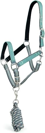 Jeffers Poplar Head Horse Halter and Lead Rope Set, Full Size – Fleece Lined Padded Nylon Adjustable Halter for Horses – Equestrian Training Tack Gear for Riding, Trail, Ranch, or Stable Use