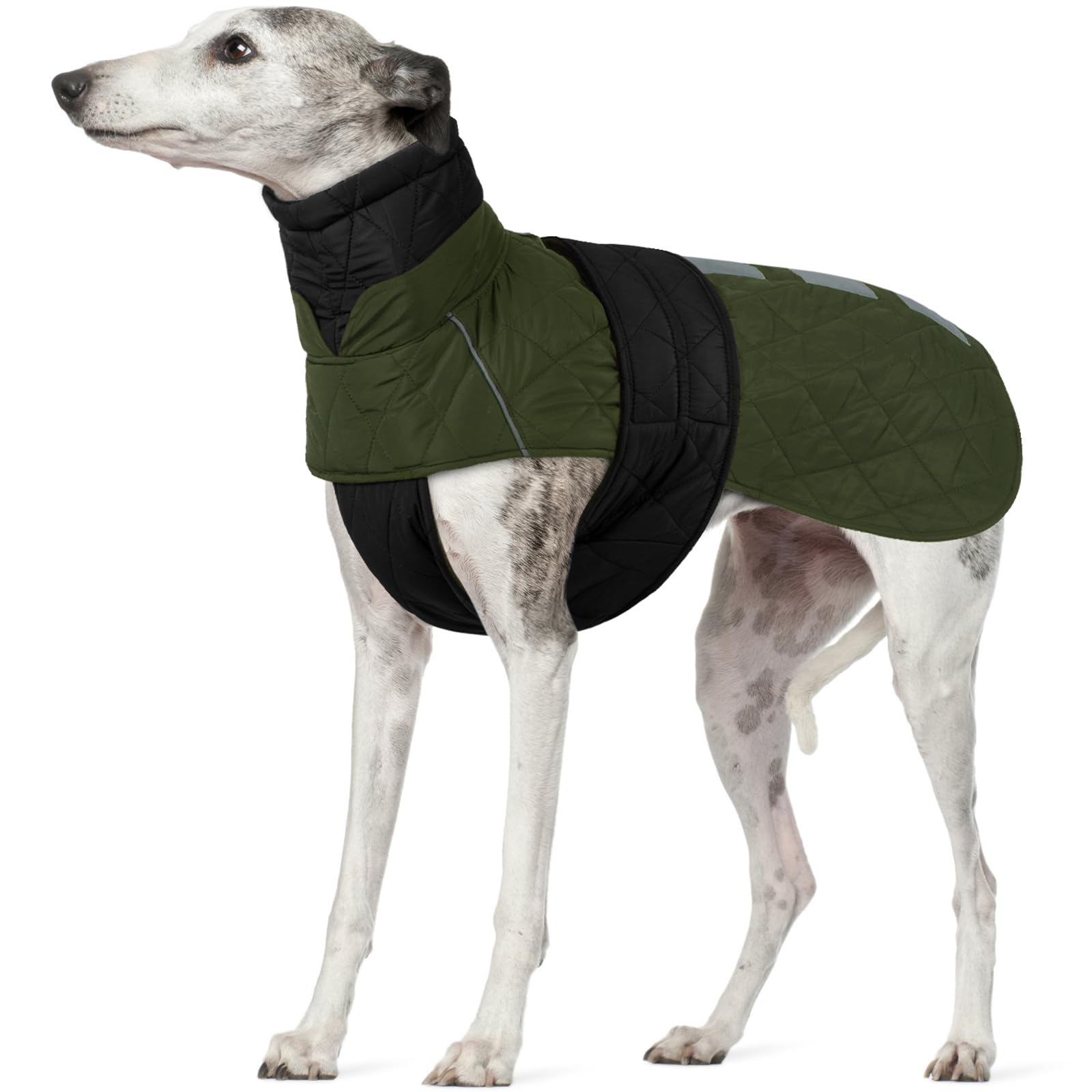 Greyhound Coat Fleece, Lurcher Coat Vizsla Saluki Waterproof Sighthound Jacket Dog Winter Jumper Warm for Large Dogs Fleece Jacket with Harness Hole
