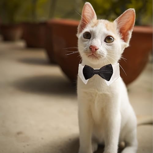 Miniatura 8 de KOOLMOX - Corbata de perro formal para perro corbata de esmoquin grande y negro para perro grande Navidad cumpleaños vacaciones boda vacaciones San