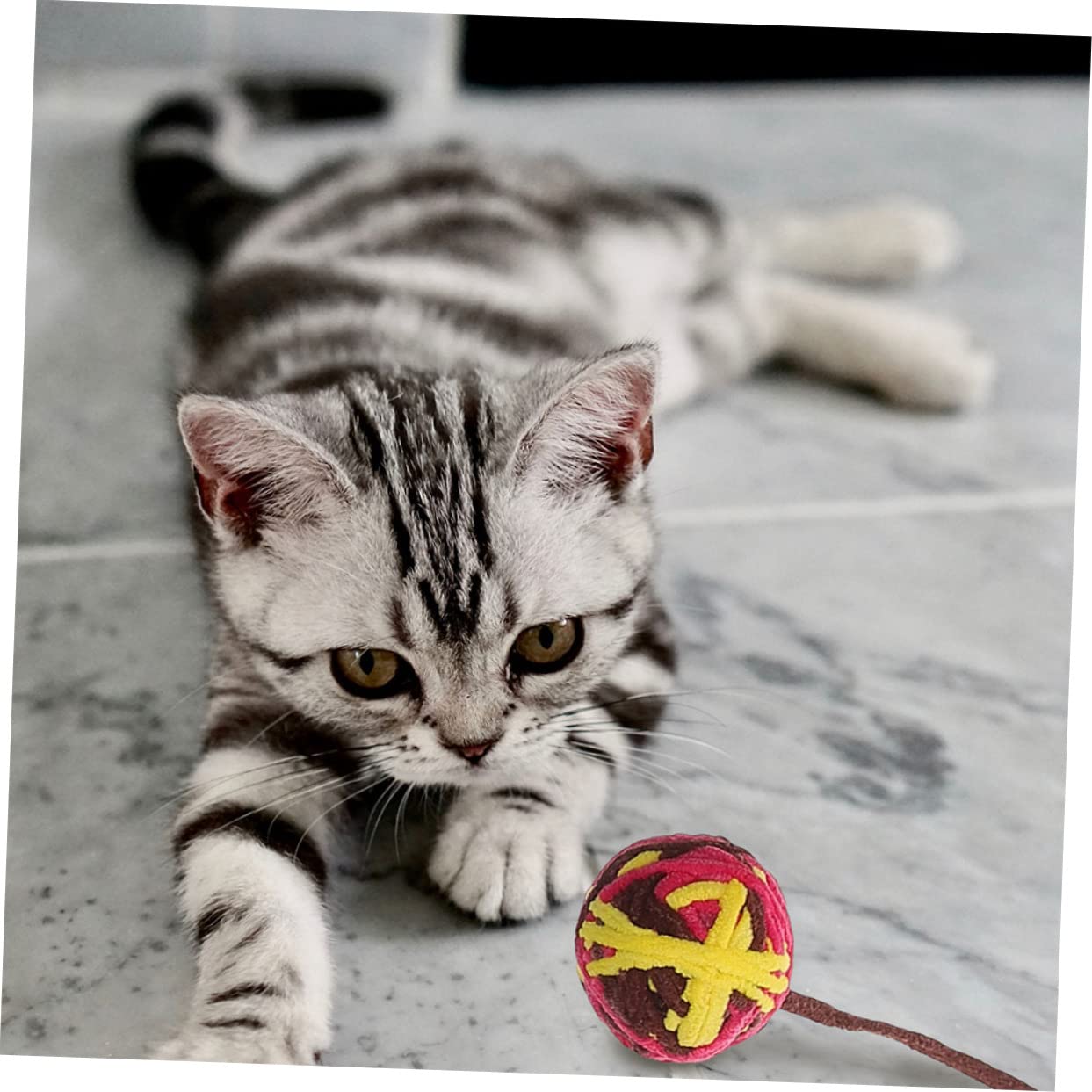 Supvox 25stücke Katzenbälle Interaktive Katzenspielzeuge Fitness Und Beschäftigung Für Kätzchen Buntes Für Stundenlangen Spielspaß