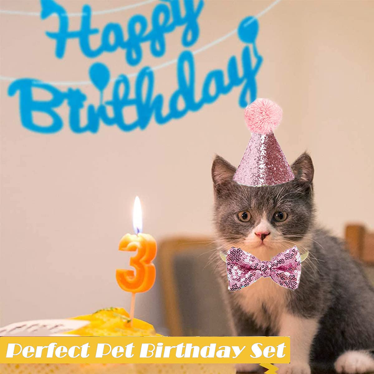 Mini Party Hats 4pcs- Hat For Pets Party Decoration