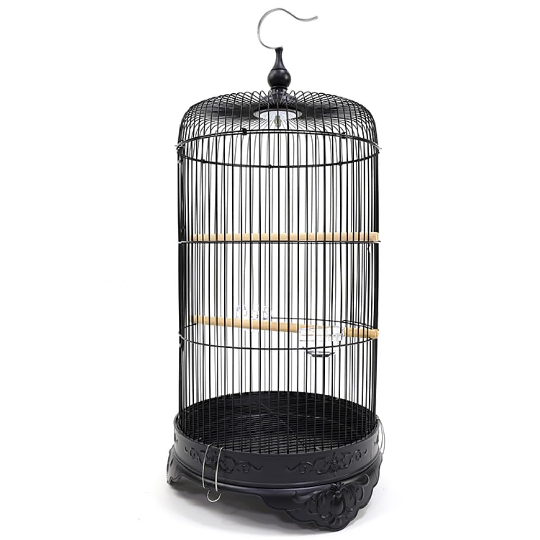 Cage à oiseaux vol et petits perroquets avec dôme circulaire
