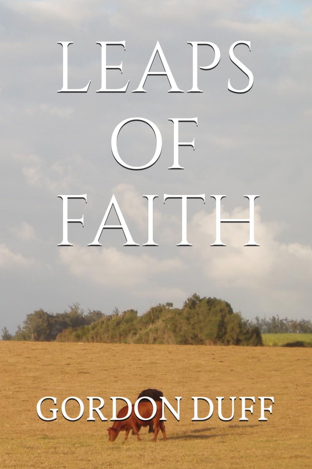 Leaps of Faith