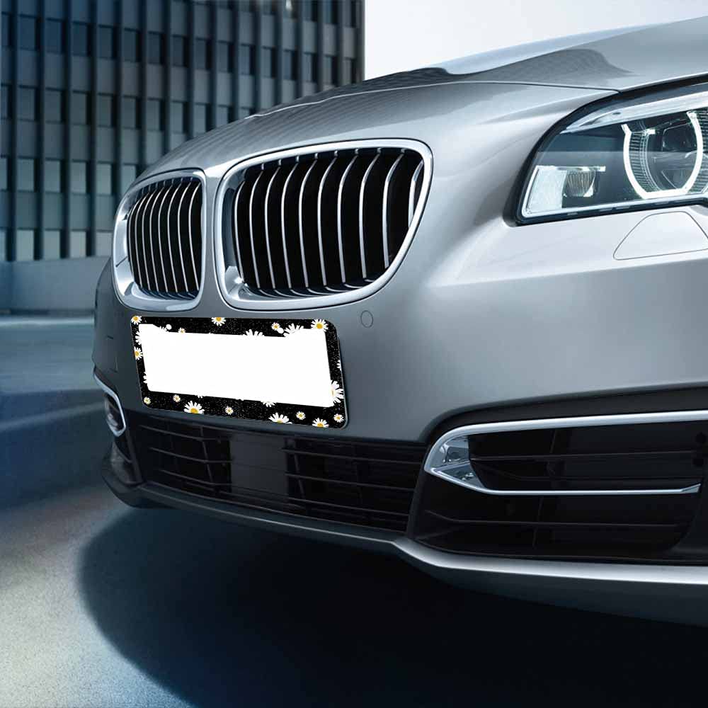 Nicokee Decorative License Plate Frame Black Celtic Viking Car Tag Frame Aluminum Auto License Plate Holder for Men Women: Multi-0003 12 x 6 Inch