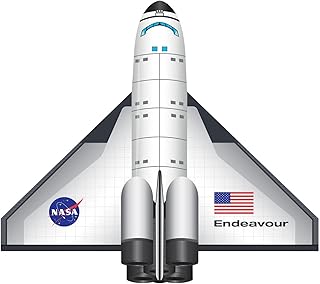 WindNSun FlightZone SpaceShuttle Endeavour Nylon Kite, 52 Inches Wingspan